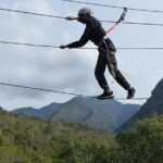 Tree climbing among the araucarias - An In-Depth Look at the Tree Climbing Experience