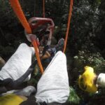 Tree Climbing in the Amazon - A Detailed Look at the Amazon Tree Climbing Tour