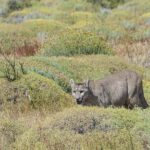 Trekking Base Torres with guide - An In-Depth Look at the Trekking Base Torres with Guide