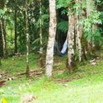 Trekking/Hiking Yarumo Blanco Waterfall from Pereira or Arme - Exploring the Yarumo Blanco Waterfall Tour in Detail