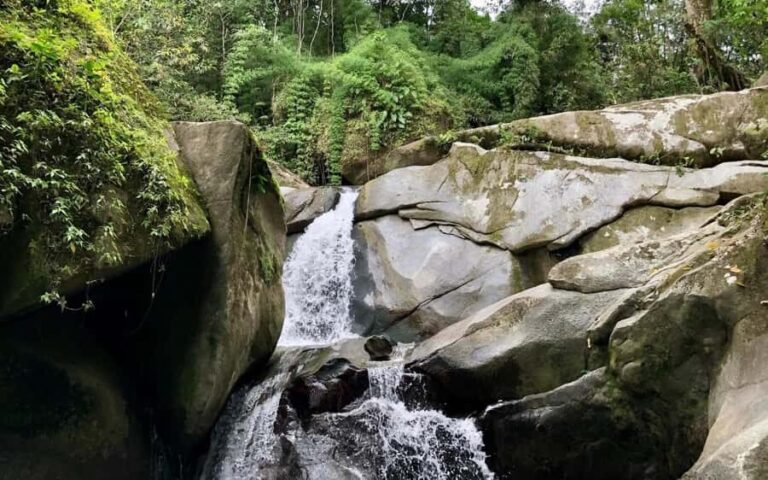 Trekking History and Indigenous Heritage in Minca + Cacao & Coffee + Waterfall - A Deep Dive into the Minca Experience