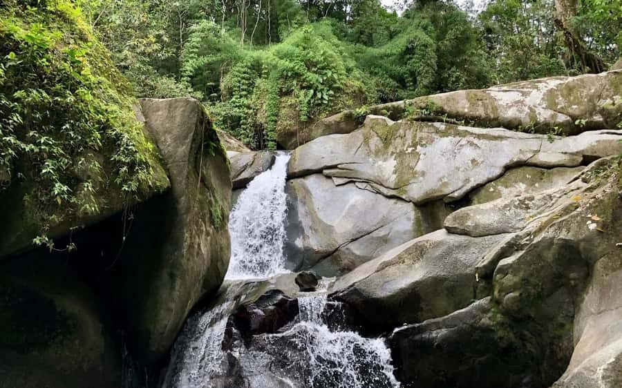 Trekking History and Indigenous Heritage in Minca + Cacao & Coffee + Waterfall - A Deep Dive into the Minca Experience