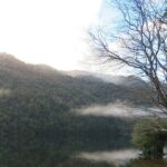 Trekking Huerquehue - Why This Tour Is Worth Considering