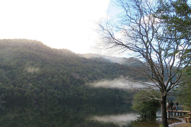 Trekking Huerquehue - Why This Tour Is Worth Considering