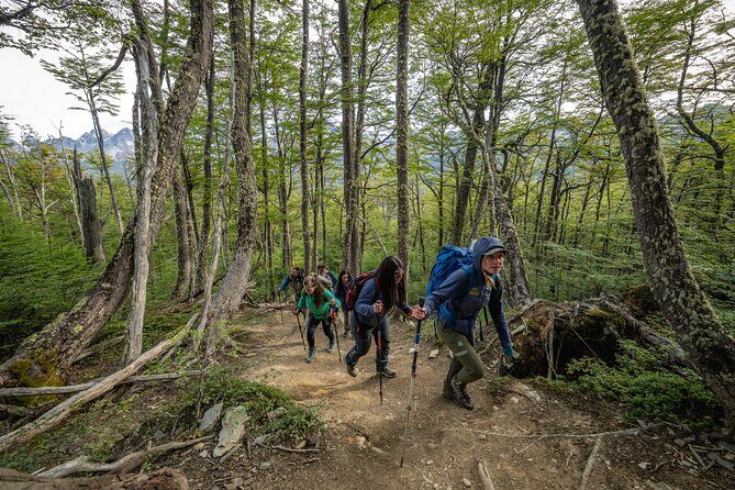 Trekking in Laguna Turquesa and Monte Carbajal - An In-Depth Look at the Trekking Experience