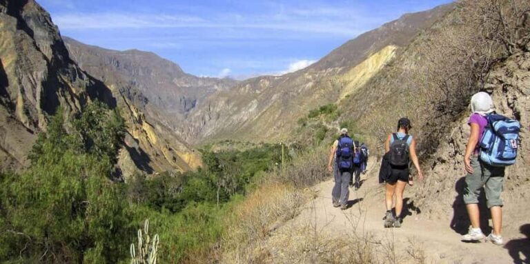 Trekking in the Colca Canyon of 2 days and 1 night - Value and Practicalities