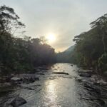 Trekking MATA ATLÂNCIA WITH CACHOEIRAS - THE GOLDEN WAY - An In-Depth Look at the Experience