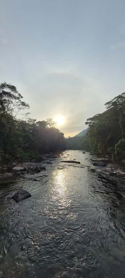 Trekking MATA ATLÂNCIA WITH CACHOEIRAS - THE GOLDEN WAY - An In-Depth Look at the Experience