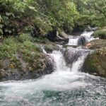 Trekking & Rivering Reserve Pericos - Why This Tour Offers Great Value
