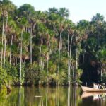 Trekking through the jungle and Lake Sandoval | Full Day - Reaching the Jungle: A Walk into the Tambopata Reserve