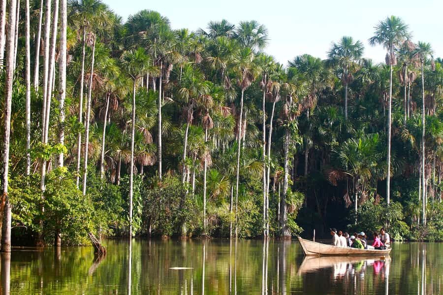 Trekking through the jungle and Lake Sandoval | Full Day - Reaching the Jungle: A Walk into the Tambopata Reserve