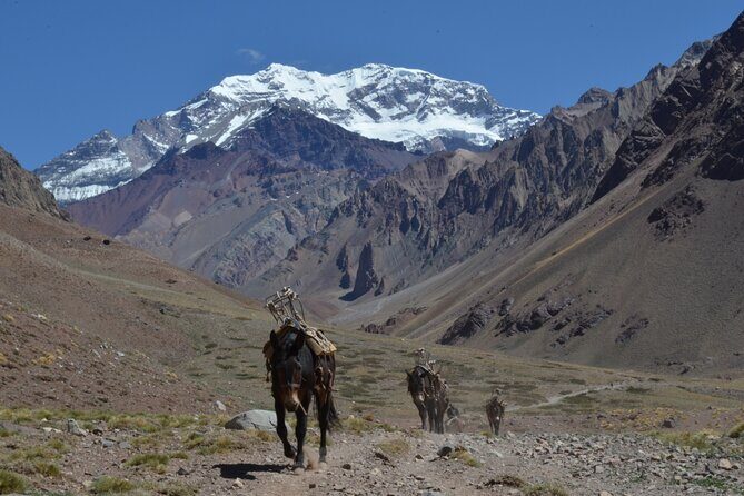 Trekking to Confluencia, Aconcagua first base camp - FAQ