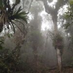 Trekking to Pico de Loro - Practical Tips for Your Trek