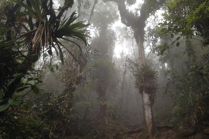 Trekking to Pico de Loro - Practical Tips for Your Trek