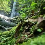 Trinidad: Avocat Waterfall and Maracas Bay Beach Tour - Why We Think It’s a Good Choice