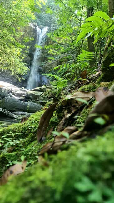 Trinidad: Avocat Waterfall and Maracas Bay Beach Tour - Why We Think It’s a Good Choice