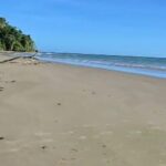 Trinidad Mud volcano Mud bath - The Deep Dive into the Trinidad Mud Volcano Tour