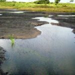 Trinidad: Pitch Lake and Chaguanas Sightseeing Tour - An In-Depth Look at the Trinidad: Pitch Lake and Chaguanas Tour