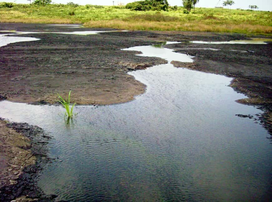 Trinidad: Pitch Lake and Chaguanas Sightseeing Tour - An In-Depth Look at the Trinidad: Pitch Lake and Chaguanas Tour