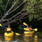 Trio Tour: El Yunque, Luquillo Beach, and Bio Bay Night Kayaking - What the Tour Means for You