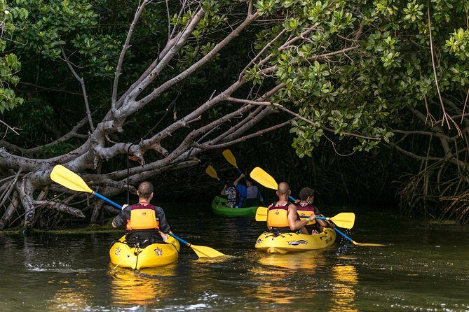 Trio Tour: El Yunque, Luquillo Beach, and Bio Bay Night Kayaking - What the Tour Means for You