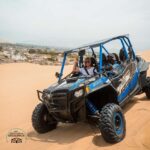 Trip and Tour to Paracas, Huacachina and Vitivinícolas - Exploring the Full Itinerary and Experience