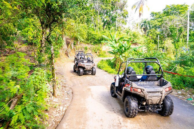 Triple fun! Monkeyland + Damajagua Waterfalls + Buggies from Puerto Plata - Final Thoughts