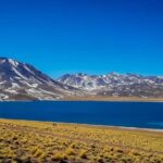 Triple tour: Red stones, highland lagoons and Chaxa Lagoon - A Deep Dive Into the Tour Experience