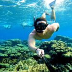 Tropical Dream Snorkel and Dinner Sail in Aruba - Discovering Aruba’s Coastal Treasures: What to Expect