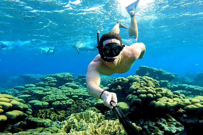 Tropical Dream Snorkel and Dinner Sail in Aruba - Discovering Aruba’s Coastal Treasures: What to Expect