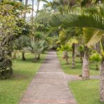 Tropical Island Private Tour of Martinique - Who Will Love This Experience?