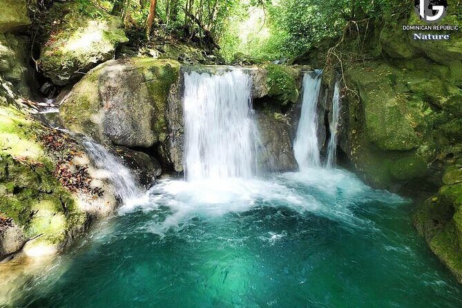 Tropical Lifestyle Puerto Plata - Private Transfer - Why Choose This Transfer? A Deep Dive