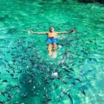 Tropical Paradise Ilha Grande on a Private Fastboat Tour - Is This Tour Right for You?