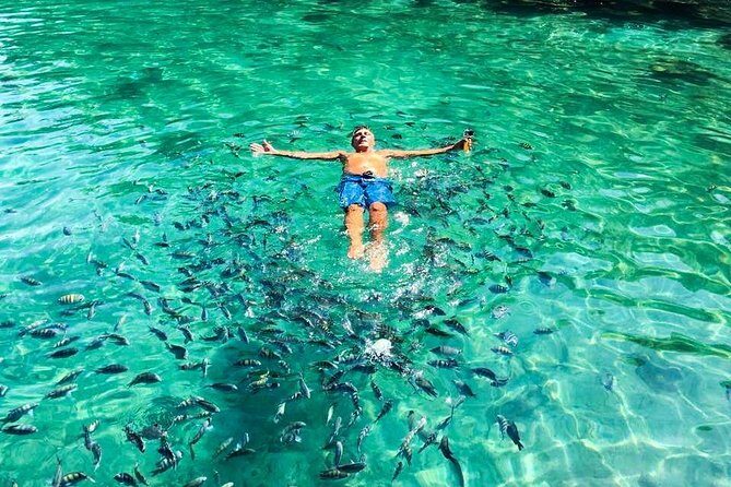 Tropical Paradise Ilha Grande on a Private Fastboat Tour - Is This Tour Right for You?