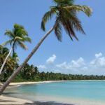 Tropical Quads (2 PERSONS PER QUADS ) - Final Thoughts