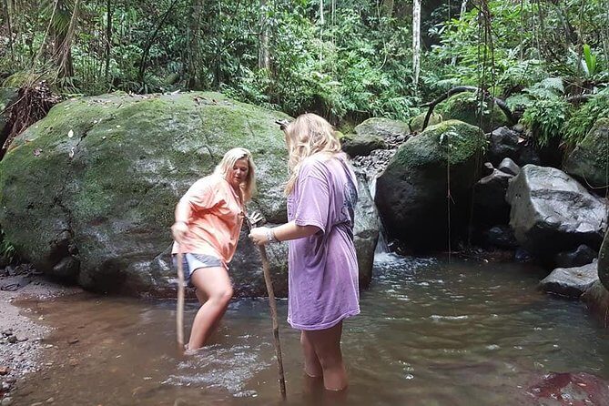 Tropical Rain Forest Explorer Hike In St. Kitts - In-Depth Look at the Rain Forest Hike Experience