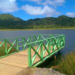 "Tropically Yours" - Frequently Asked Questions