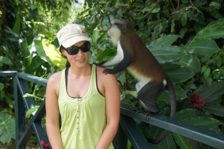 "Tropically Yours" Waterfall Nature Hike. - Into the Rainforest and the Waterfalls