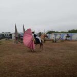 Trujillo/Huanchaco: TRUJILLO CLASSIC 2 DAYS /1 NIGHT - Frequently Asked Questions