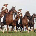 Trujillo: Show of Peruvian Paso Horse & Marinera with lunch - A Deep Dive into the Trujillo Horse & Marinera Experience