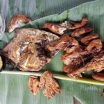 Tucandeira Ants Indigenous Ritual - An In-Depth Look at the Tucandeira Ants Ritual Tour