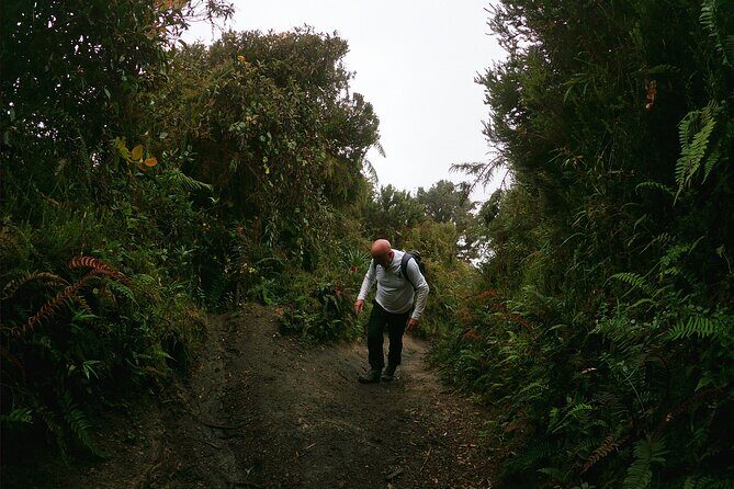 Tungurahua Volcano Refuge, Full Day. - Why This Tour Offers Great Value
