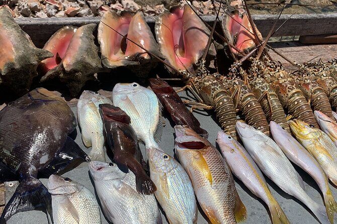 Turks And Caicos 4 Hours Fishing Experience - FAQs