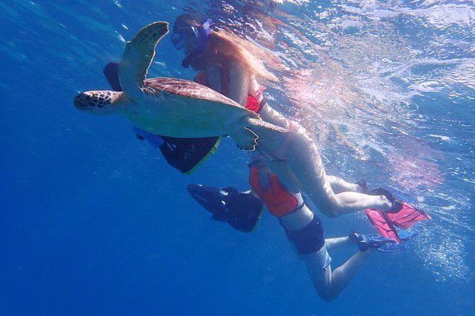 Turtle Beach Power Snorkeling Adventure - Who Should Consider This Tour?