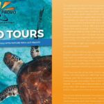 Turtle Eco Tour on Stand-Up Paddleboards or Kayaks into the National Marine Park - Why This Tour Works for Travelers