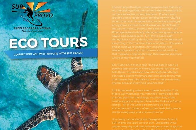 Turtle Eco Tour on Stand-Up Paddleboards or Kayaks into the National Marine Park - Why This Tour Works for Travelers
