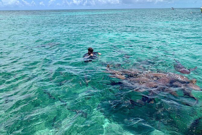 Turtle Garden Snorkeling Tour and Island Break - Authentic Encounters and Unfiltered Insights