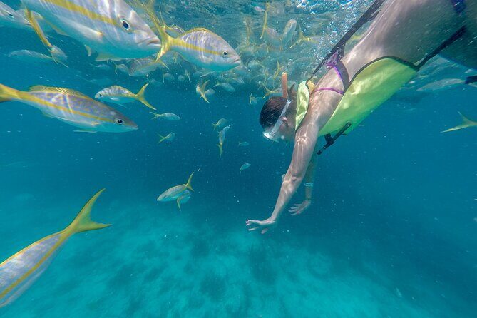 Turtle Snorkel Sail on Buck Island from Frenchman's Reef - The Sum Up: Who’s It For?