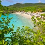 Turtle Swim at TurtleBay visit Flamingos & KnipBeach Safari Truck - Who Should Consider This Tour?