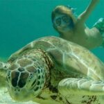 Turtles, Pizza Pi & Sunset trip - An In-Depth Look at the Experience